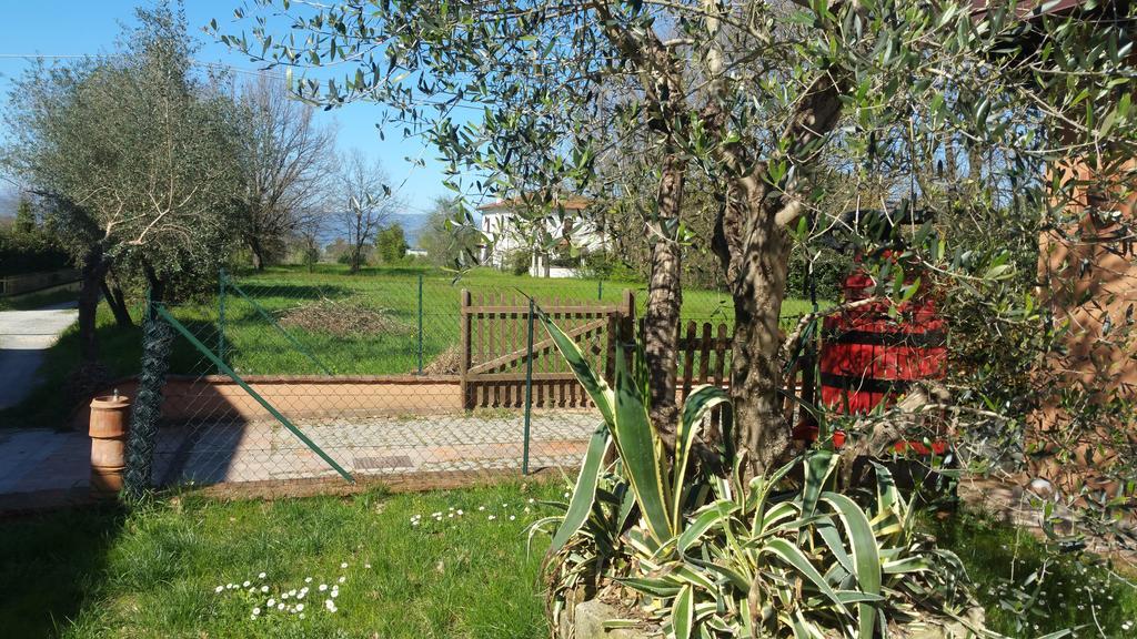 Villa Ulivo Della Querce Querce  Exterior foto